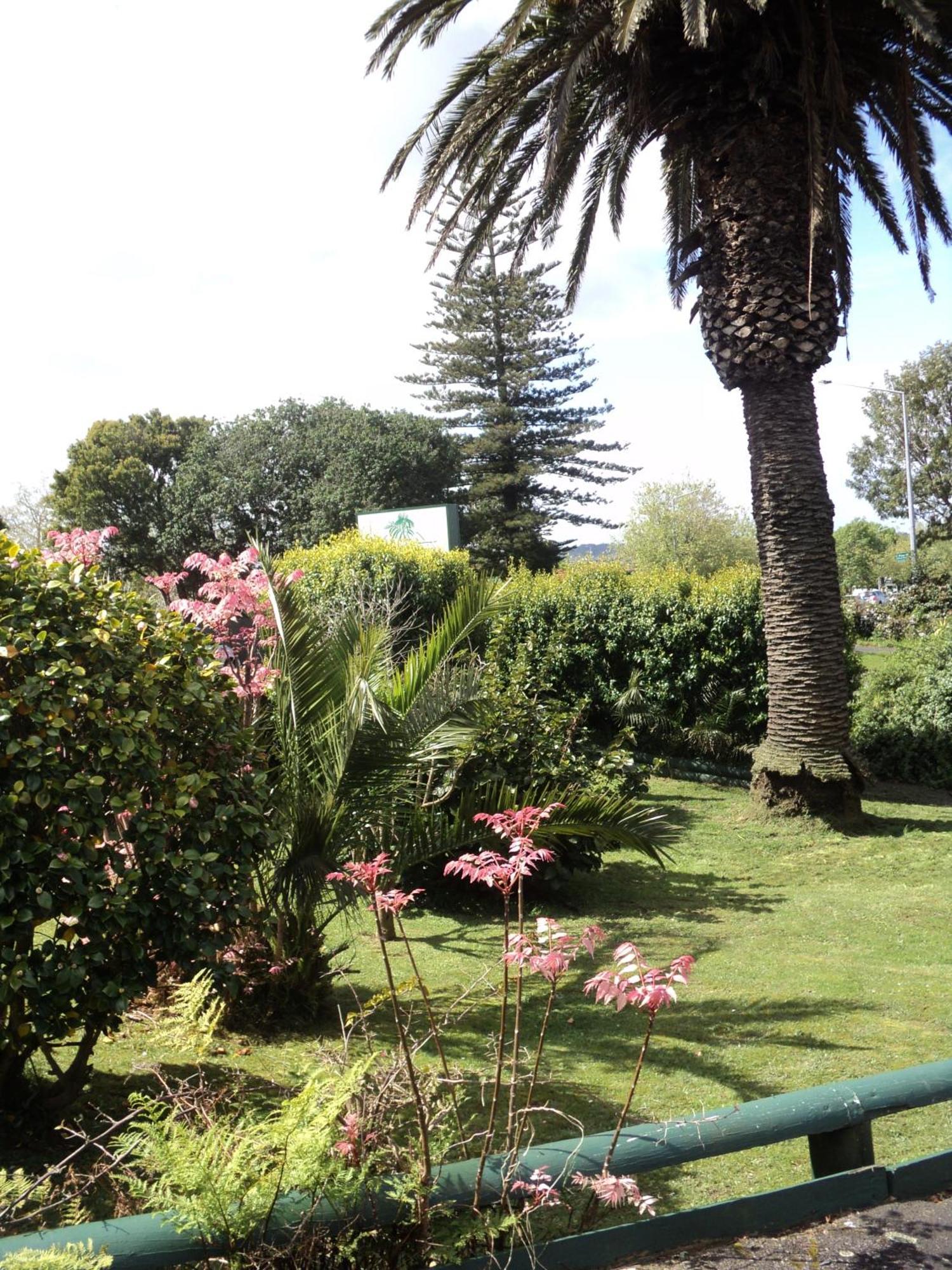 New Haven Motel Auckland Exterior photo